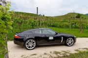 Le Jaguar nella zona del Prosecco e Cartize (110/152)